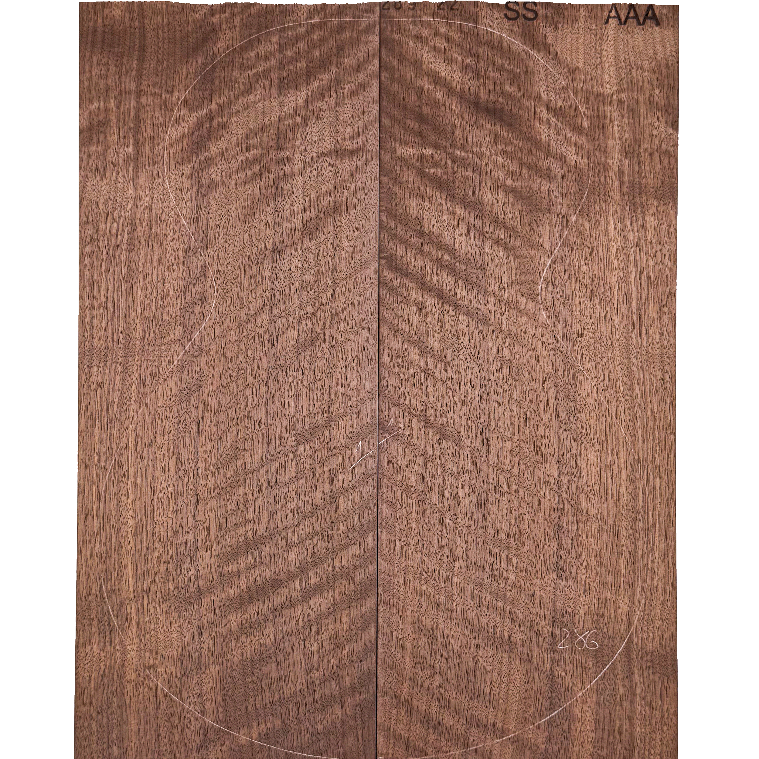 Nussbaum, europäisch